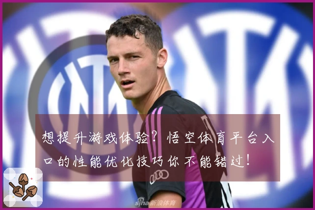 想提升游戏体验？悟空体育平台入口的性能优化技巧你不能错过！
