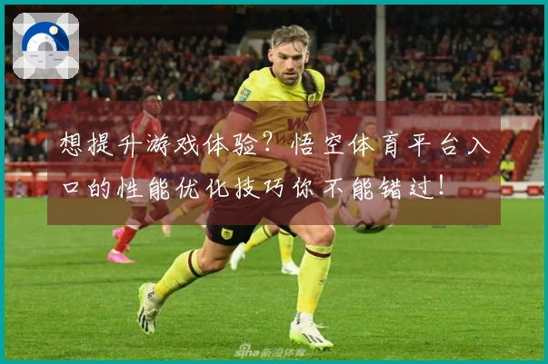 想提升游戏体验？悟空体育平台入口的性能优化技巧你不能错过！
