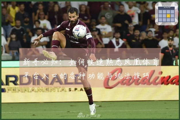 新手必知：如何快速熟悉凤凰体育平台入口的各种功能与玩法技巧