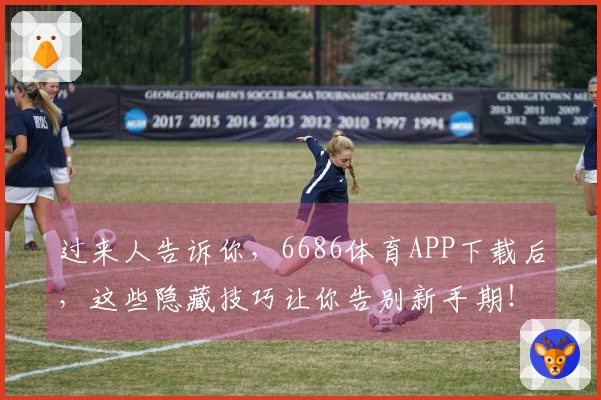 过来人告诉你，6686体育APP下载后，这些隐藏技巧让你告别新手期！
